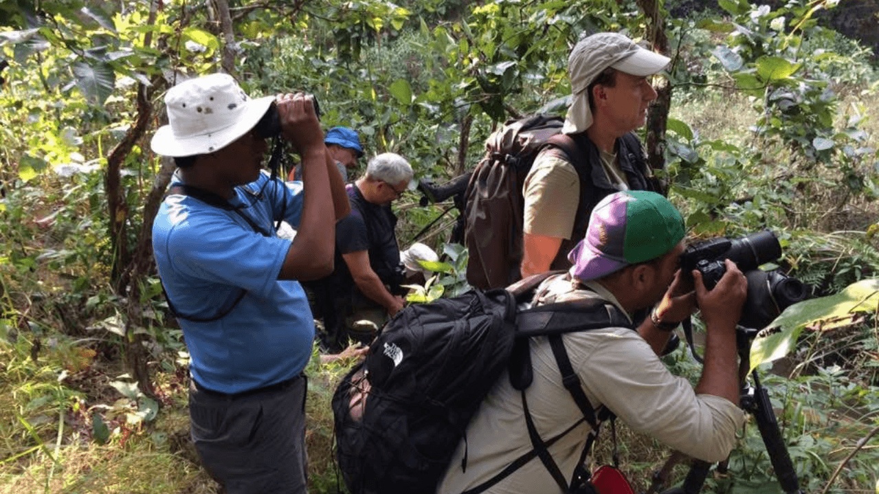 4 Nights, 5 Days Ultimate Chitwan Wildlife Adventure