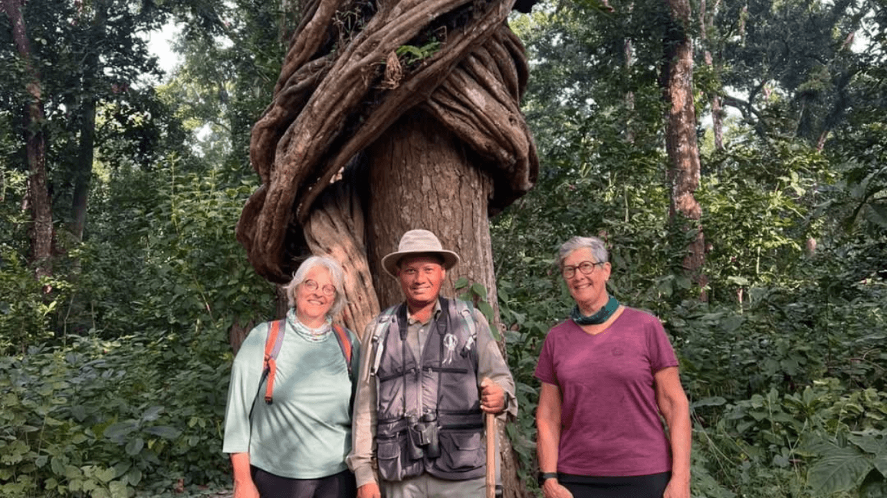 3 Nights, 4 Days Jungle Walk & Wildlife Adventure
